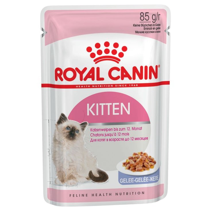 Confezione Royal Canin Kitten Jelly, con immagine di gattino e cibo in gelatina.