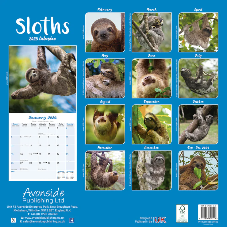 Kalender 2025 Faultier - Sloths