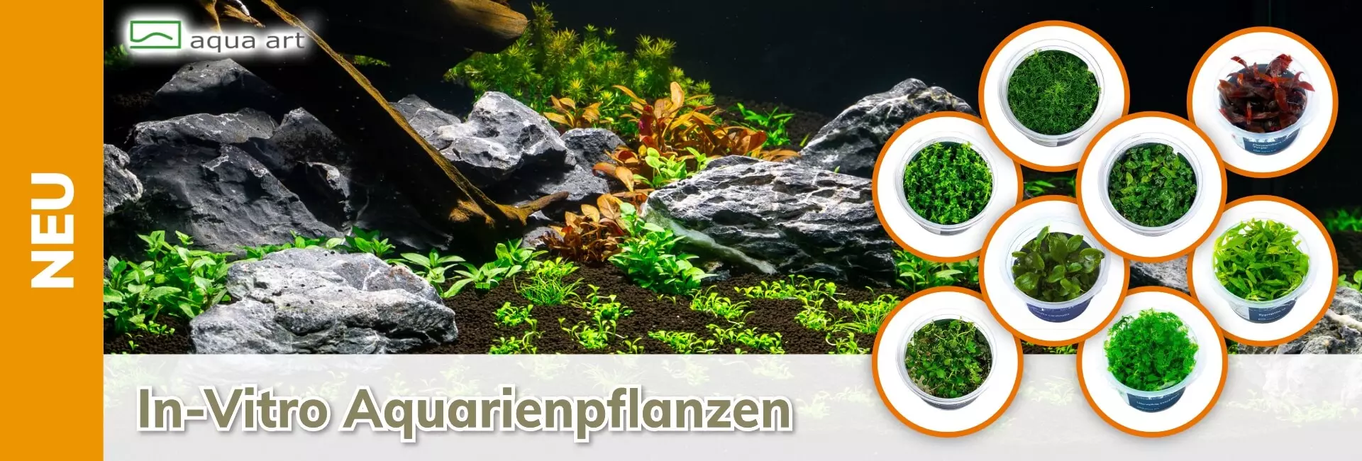 Aqua Art In-Vitro Aquarienpflanzen