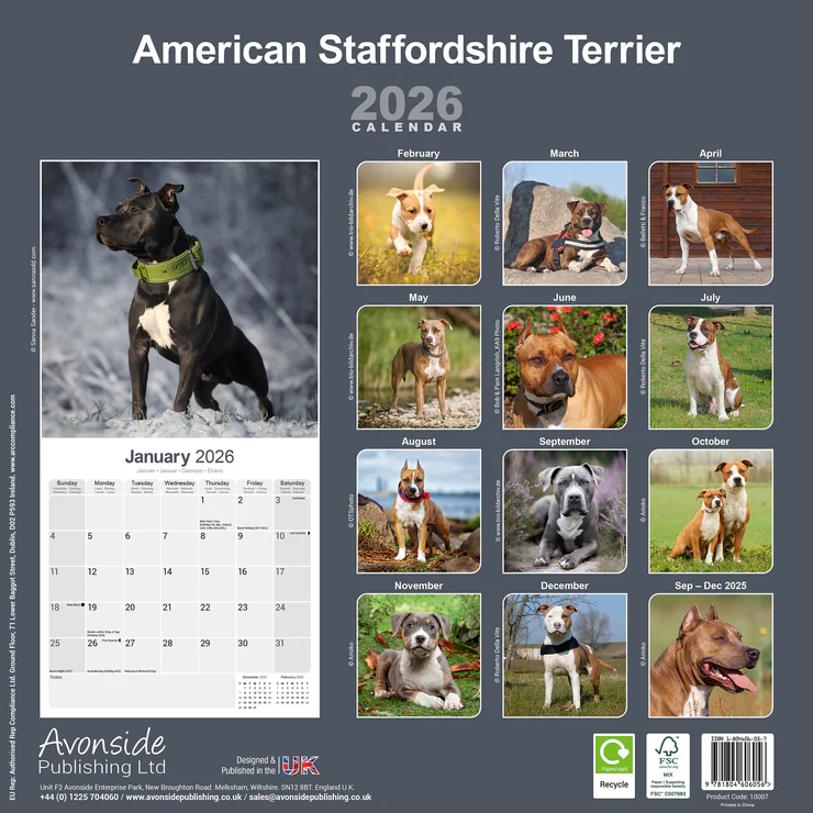 Calendar 2025 American Staffordshire Terrier