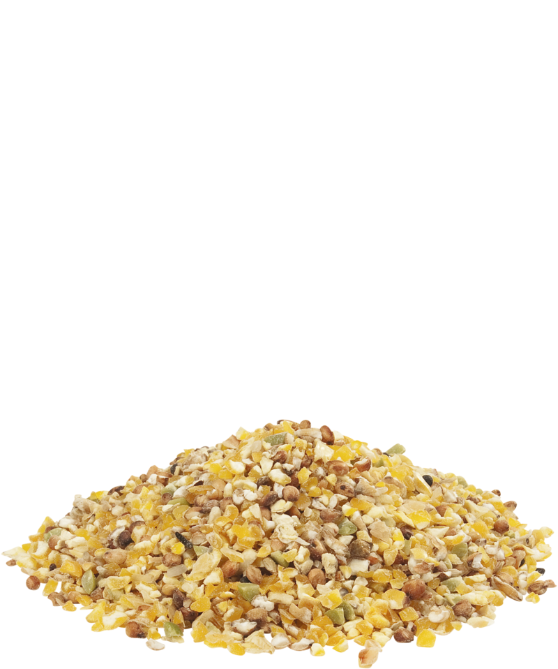 A pile of coarsely ground grains and seeds, including yellow maize, light brown pieces of grain and a few green kernels, forms a small mound against a white background. The mixture displays a variety of textures and natural colours.