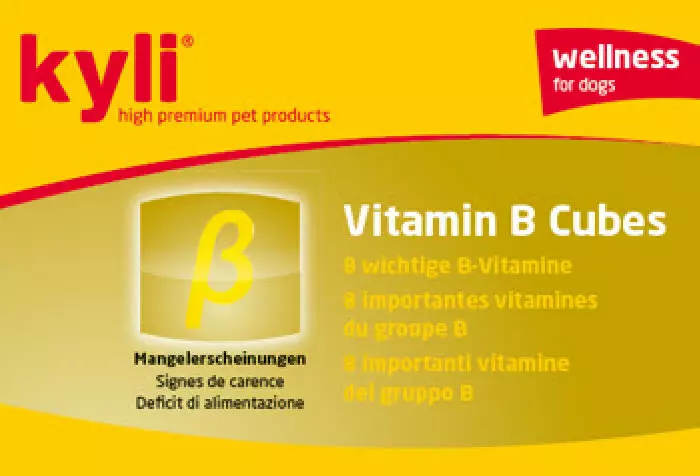 Kyli Vitamin B Cubs 120g
