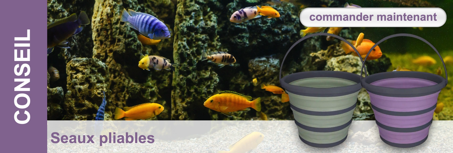 Aquarium animé avec des bancs de poissons bleus, jaunes et orangés, entre rochers sombres et coraux. Au premier plan, deux seaux pliables vert menthe et violet, bords foncés, sur gravier clair. À gauche « CONSEIL » vertical.