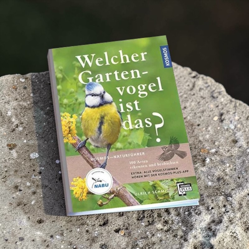 Which garden bird is that?