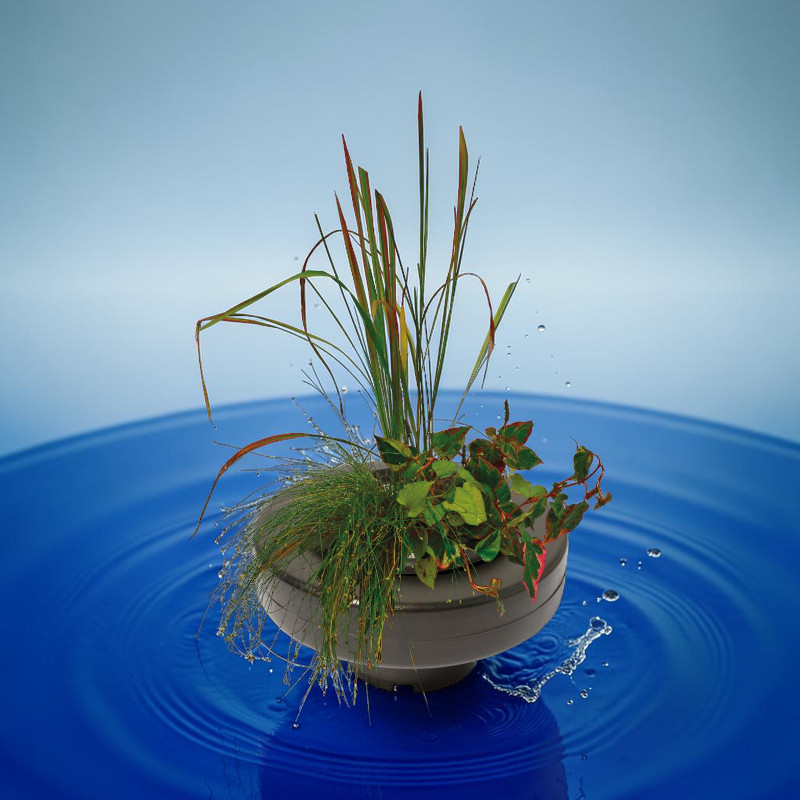 SuperFish Floating Plant Basket, round, XL, 30 cm