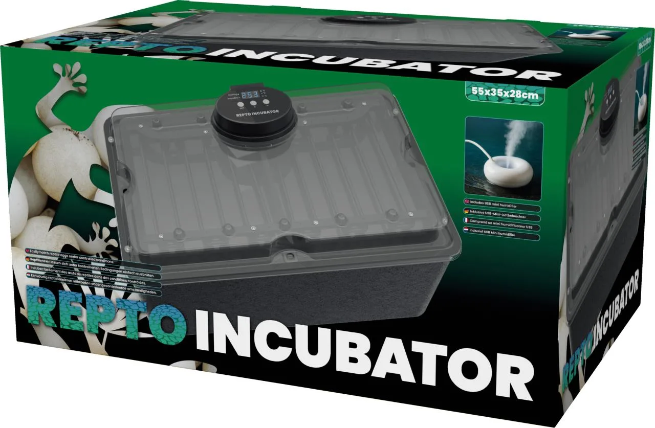 Dunkelgrauer Reptilieninkubator mit transparentem Deckel und Digitalanzeige auf grüner Verpackung. Box zeigt Reptilieneier, den Namen "REPTO INCUBATOR" und Zucht-Details. Abbildung: USB-Mini-Luftbefeuchter beim Dampfen.