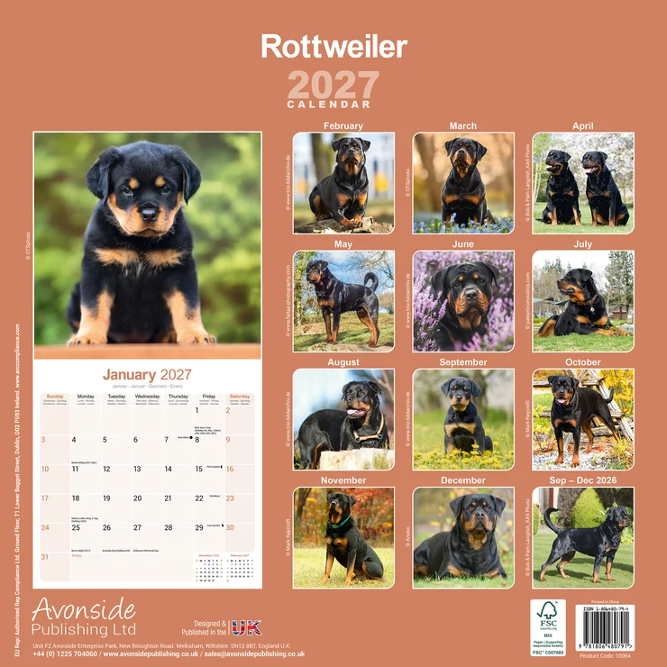 Kalender 2027 Rottweiler