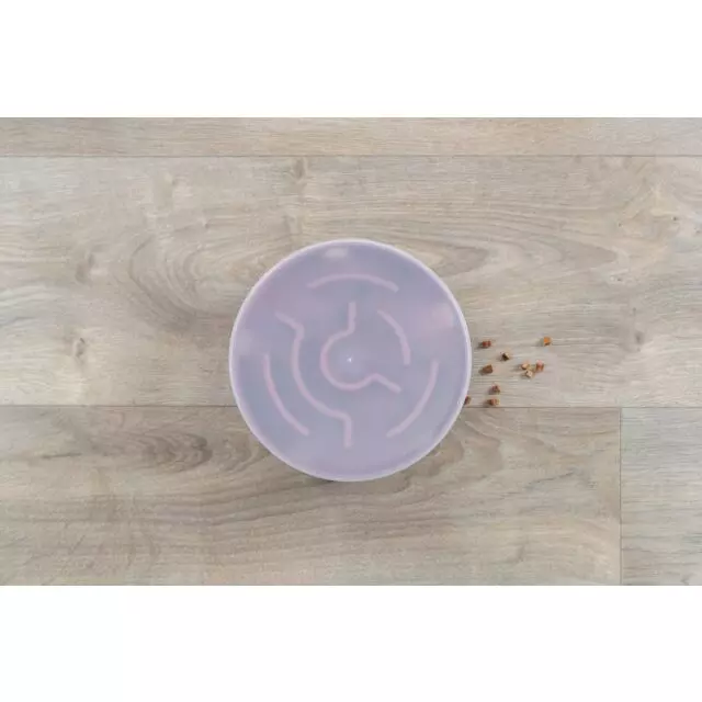 Cat Activity - Rocking Maze