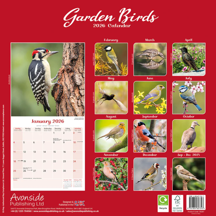 Calendar 2026 Garden Birds - Garden Birds