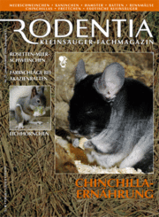 Rodentia 29, Chinchilla Ernährung