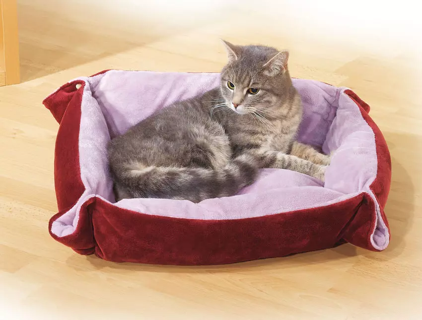 Swisspet soft cat bed paw