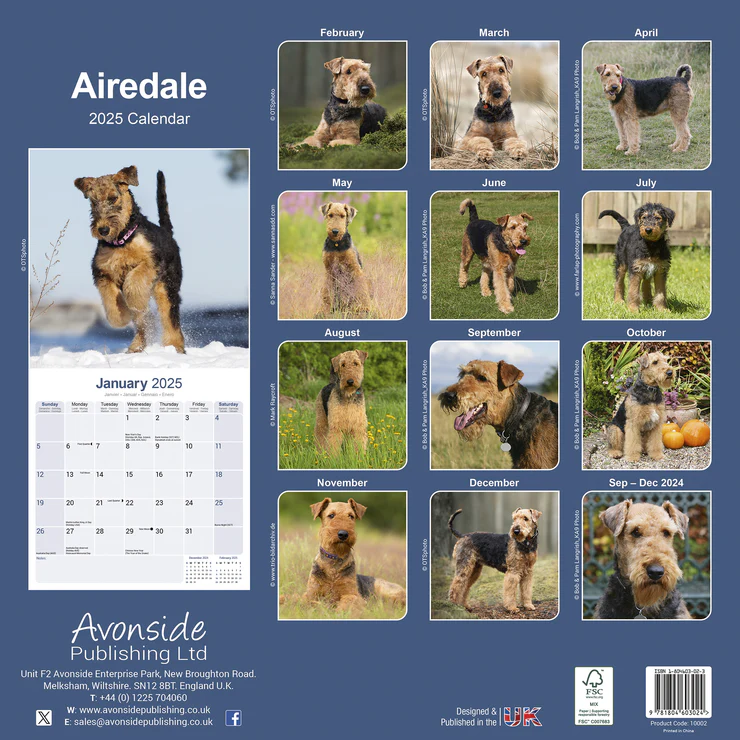 Calendrier 2025 Airedale Terrier Calendrier 2025 Airedale Terrier
