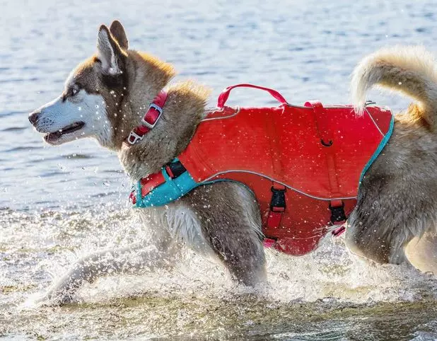 Life Jacket Surf N Turf Rot 