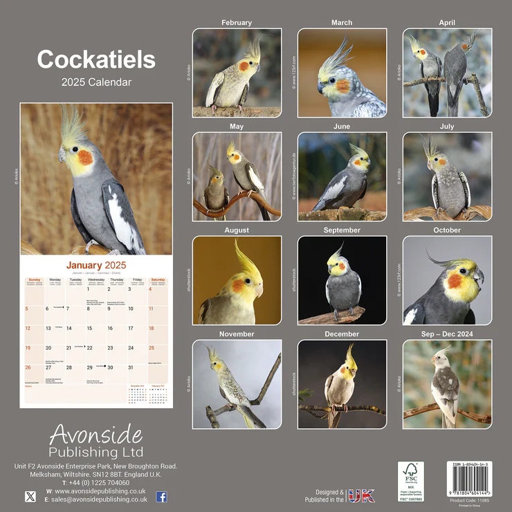 Kalender 2025 Nymphensittich - Cockatiels Kalender 2025 Nymphensittich - Cockatiels