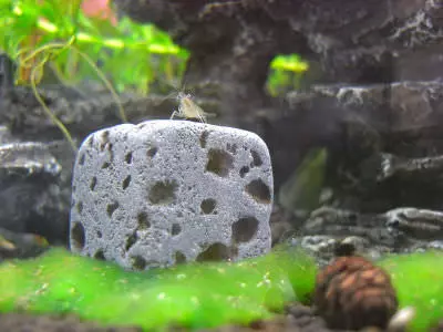 Eco Bricks 