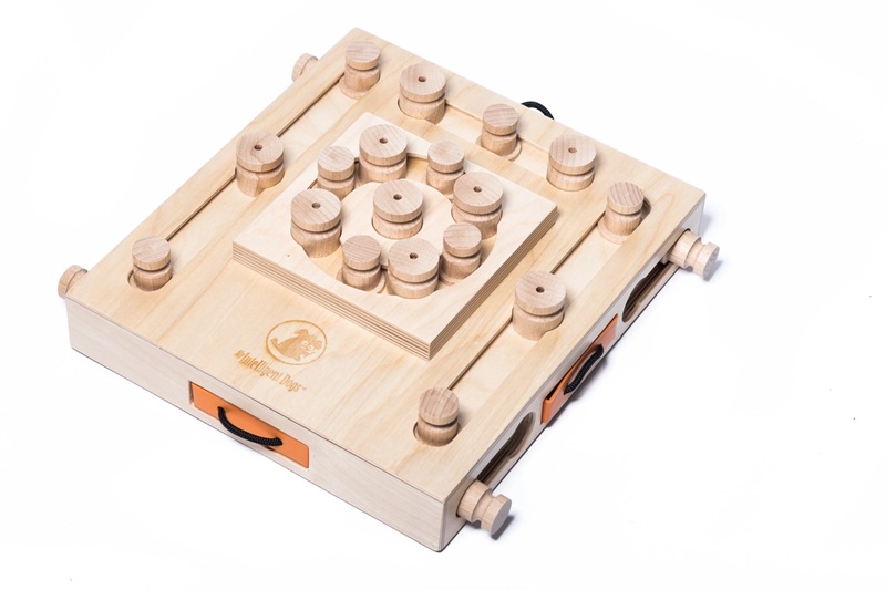 My Intelligent Pets - Turtle