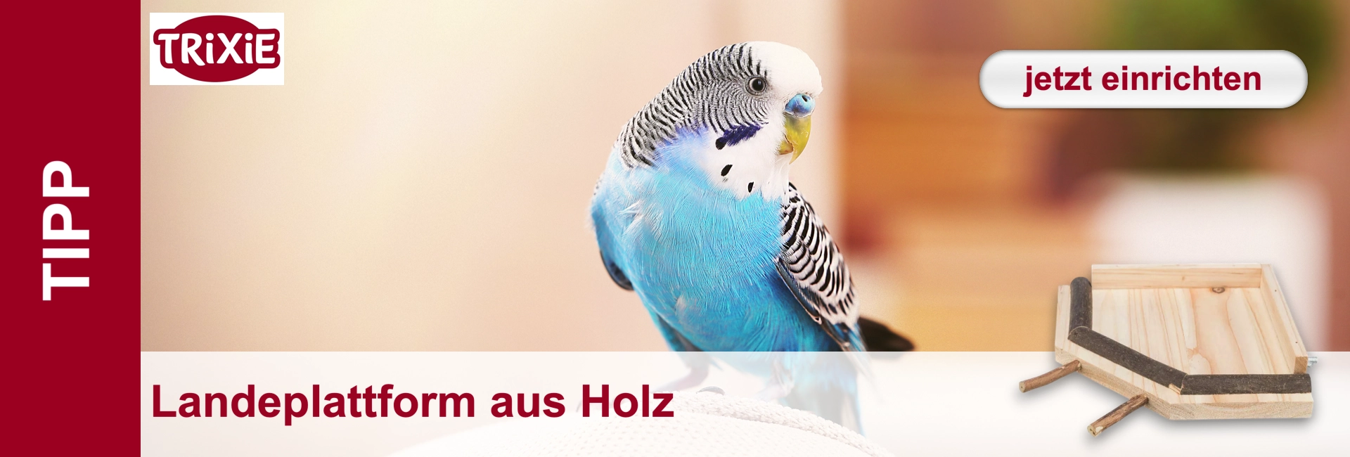 Un pappagallino blu con la testa bianca e le strisce nere siede accanto a una piattaforma di legno.