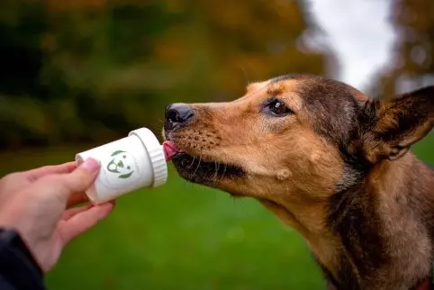Doggypumper mit Umhängeband 