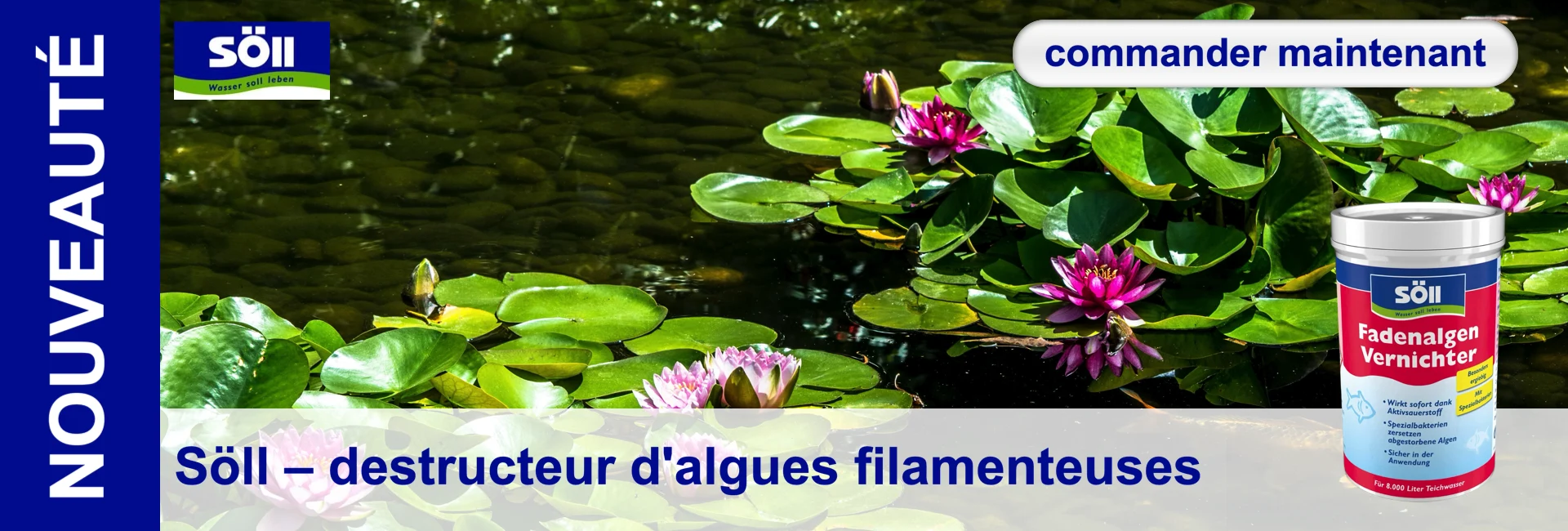 Étang avec des nénuphars et un produit contre les algues filamenteuses. Fleurs roses, feuilles vertes. Söll Produit anti-algues filamenteuses en bidon.