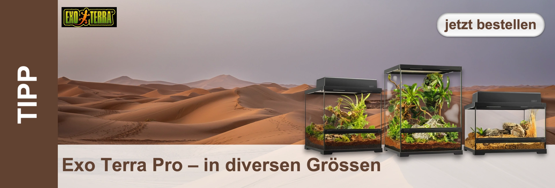 Terrari di varie dimensioni davanti a un paesaggio desertico. Testo "Ordina ora".