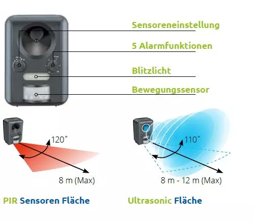 SuperFish uccello gatto protettore