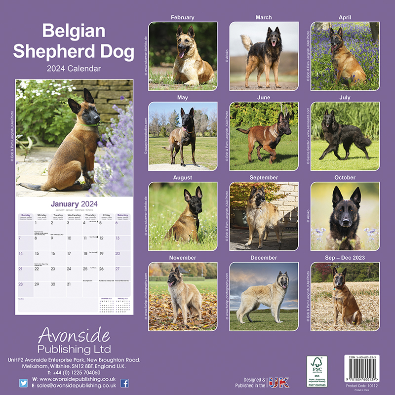 Kalender 2024 Belgischer Schäferhund - Belgian Shepherd Dog