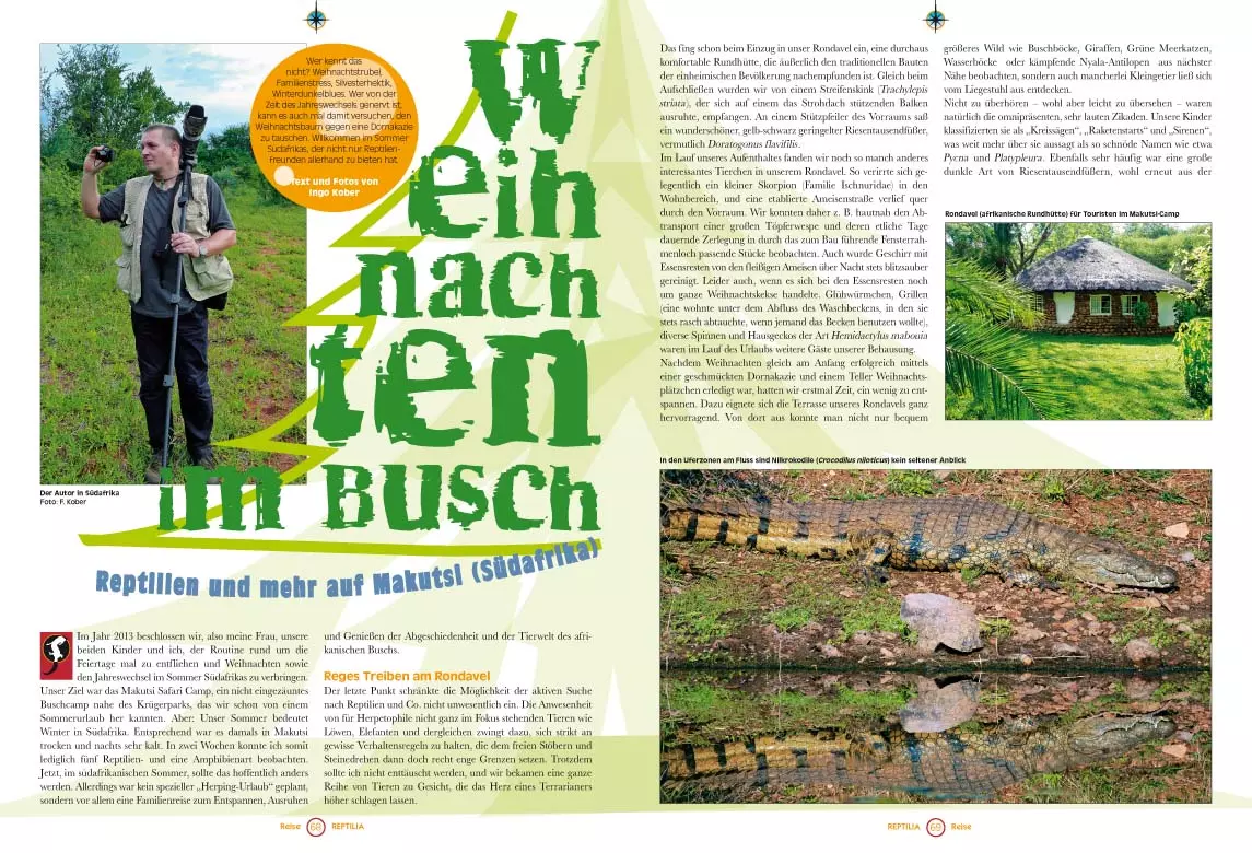 reptilia-116-259131c0fa91fb Reptilia 116 - Wasserschildkröten - Perfekte Heimtiere