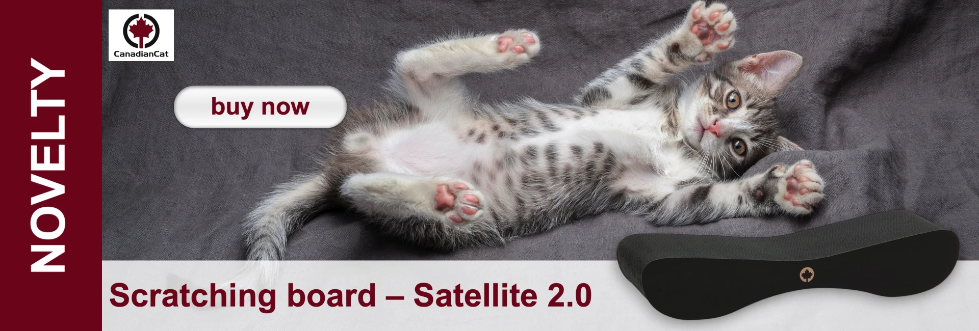 A grey-and-white tabby kitten lies on its back, looking up with wide eyes. Pink paw pads show on a dark grey blanket. Bottom right: black wavy scratching board. Left: ‘CanadianCat’ logo and ‘NOVELTY’; top: ‘buy now’.