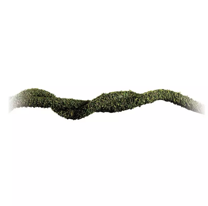 Exo Terra Moss Vine
