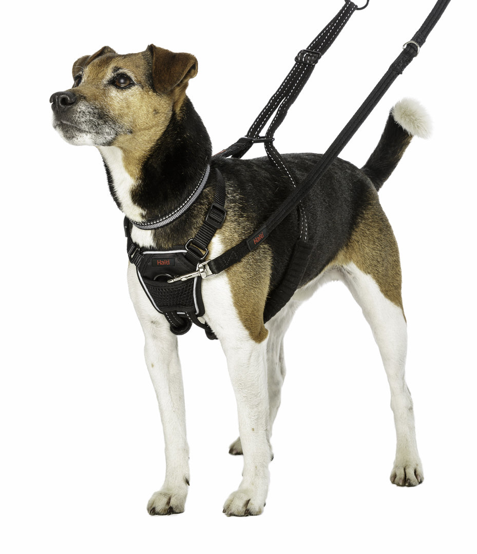 Anti-traction harness