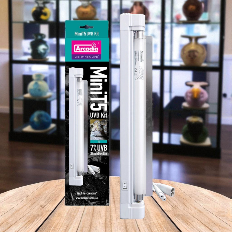 Arcadia UV mini T5 ShadeDweller Lampe