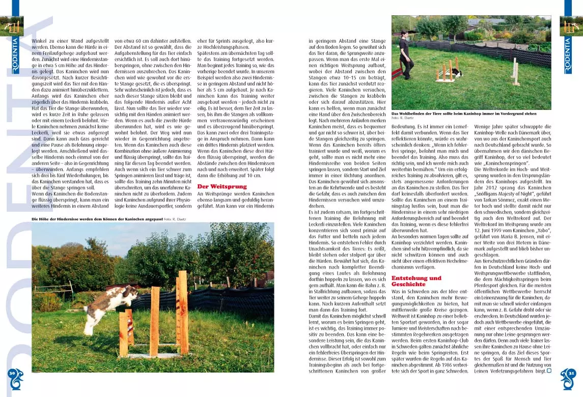 rodentia-82-tiere-sinnvoll-beschaeftigen-2 Rodentia 82 - Tiere sinnvoll beschäftigen