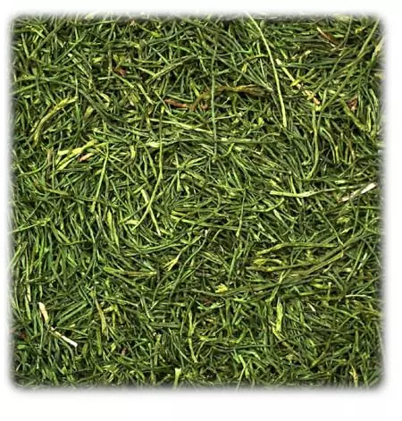 35a4e017cb887df22dfb0860ad516079 JR FARM Petersilienstiele