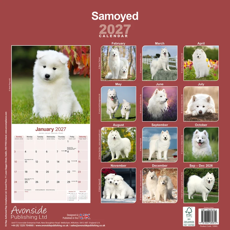Calendario 2026 Samoiedo
