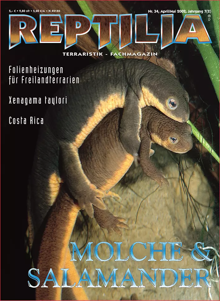 Reptilia 34 - Molche & Salamander