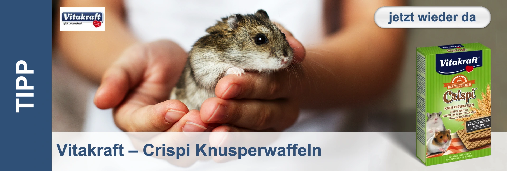 Il criceto è seduto sulle mani, accanto a una confezione verde di "Crispi Knusperwaffeln" di Vitakraft con l'immagine di un criceto.