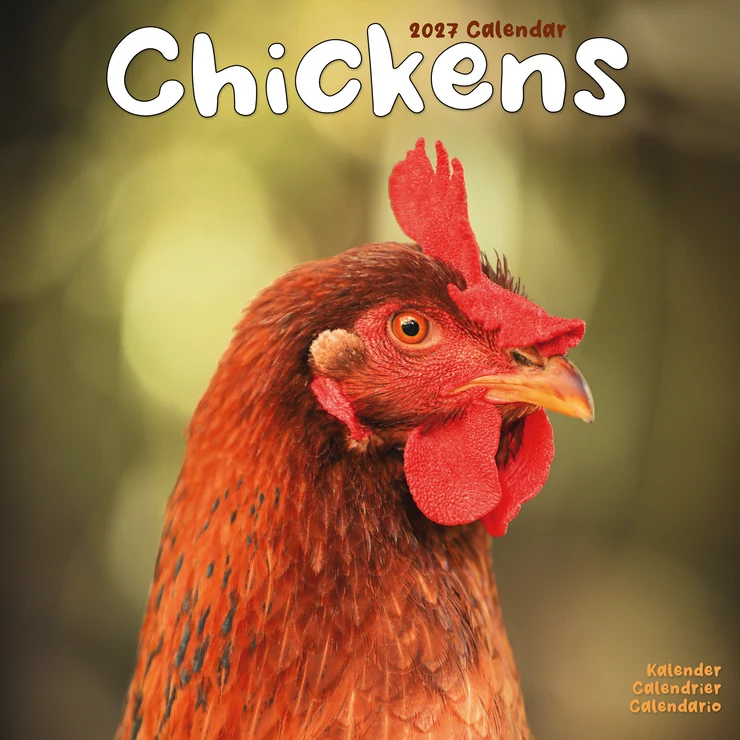 Kalender 2027 Hühner - Huhn - Chickens