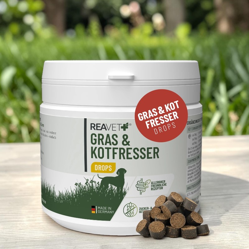 Weißer Behälter REAVET Gras & Kotfresser Drops für Hunde auf Holzoberfläche. Aufschrift: Unterstützung bei unerwünschtem Fressverhalten, allergikerfreundliche, zuckerfreie Rezeptur. Daneben dunkelbraune Drops.
