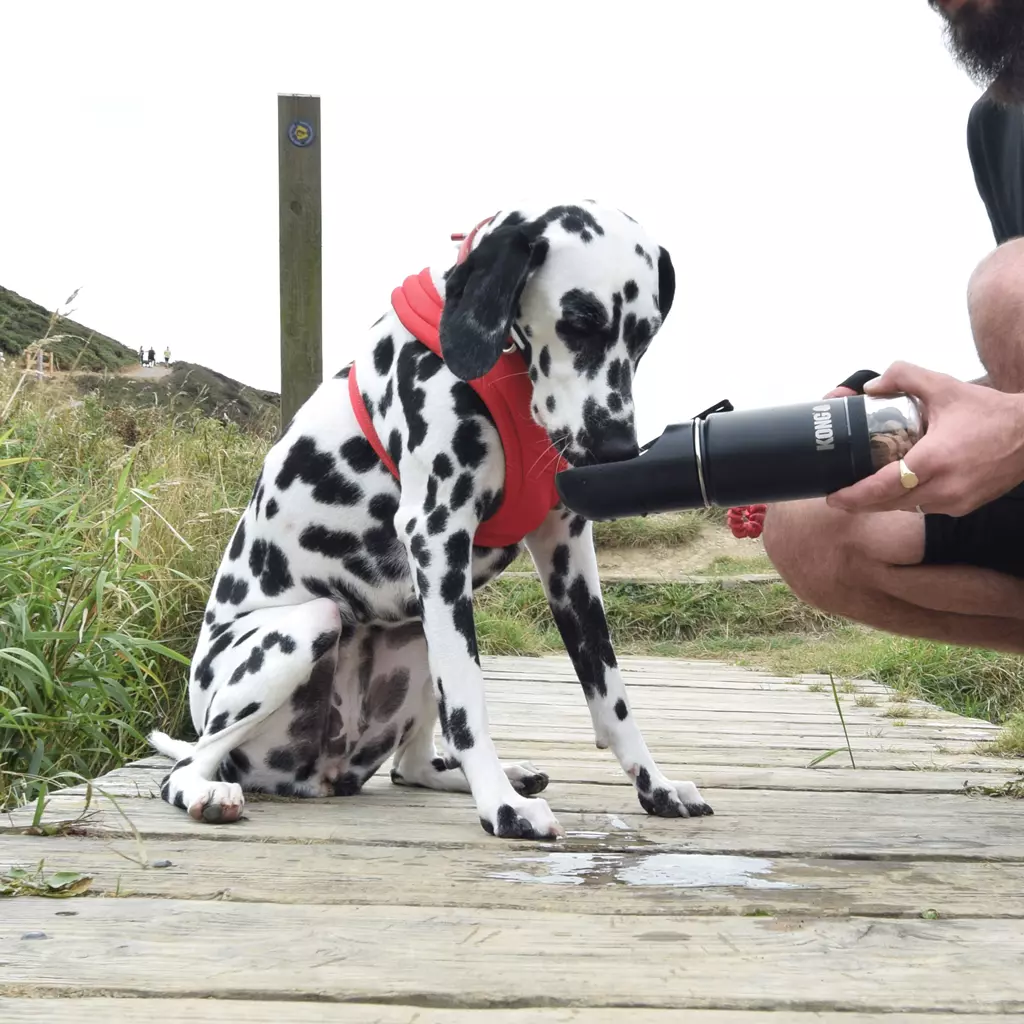 KONG Trek & Treat Flaschen 295ml