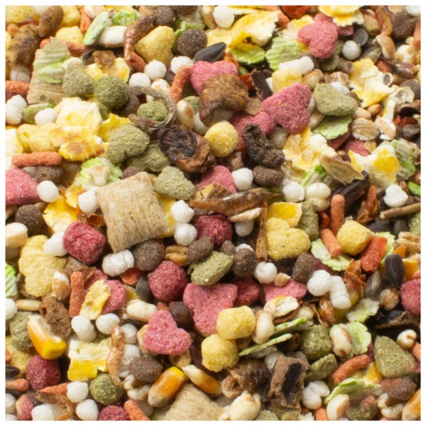 Nahaufnahme einer bunten Tierfuttermischung aus rosa, grünen, gelben und weißen Pellets, Getreideflocken, Sonnenblumenkernen und Maiskörnern. Zu sehen sind auch Herzstücke und knusprige braune Würfel.