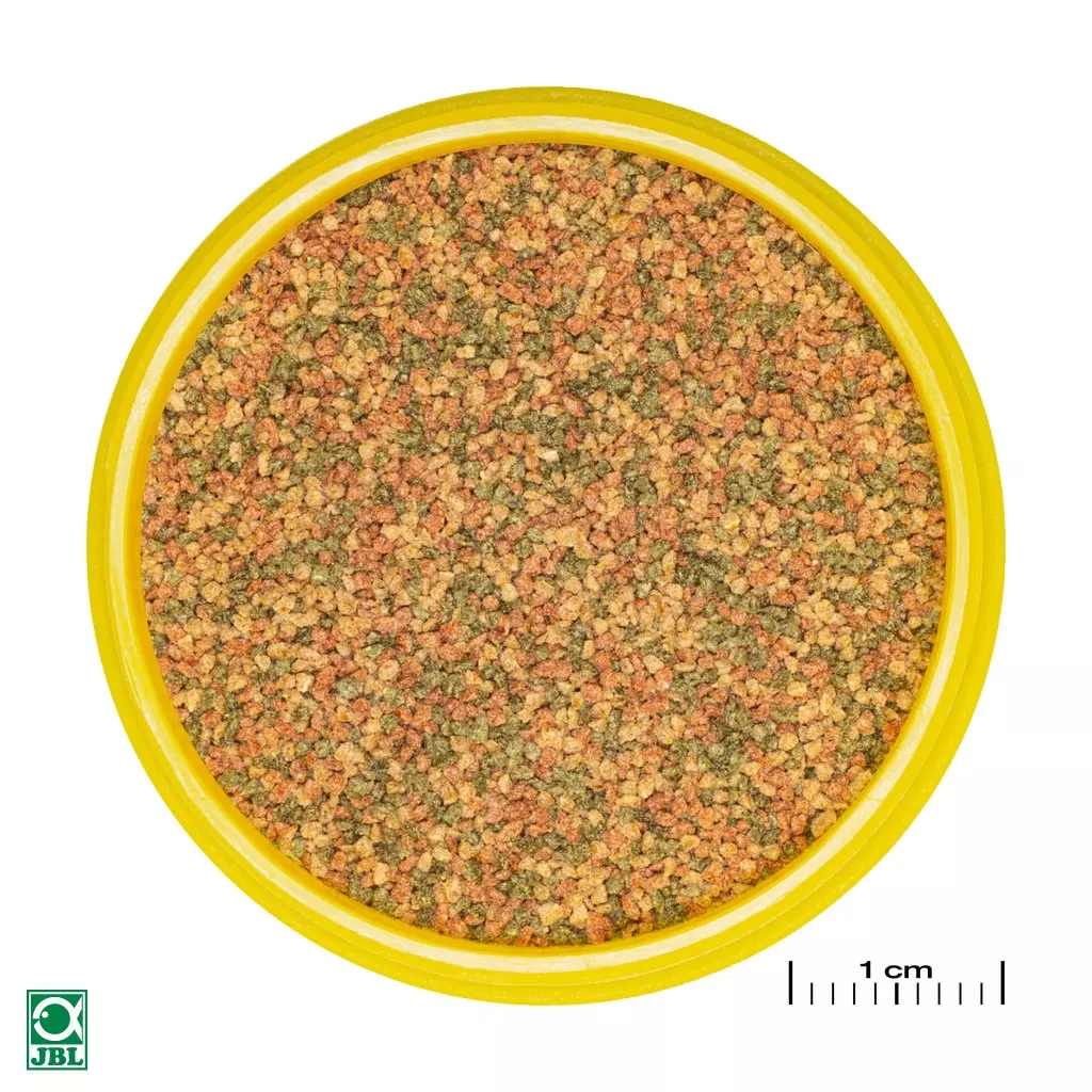 JBL PRONOVO BEL GRANO XS JBL PRONOVO BEL GRANO XS