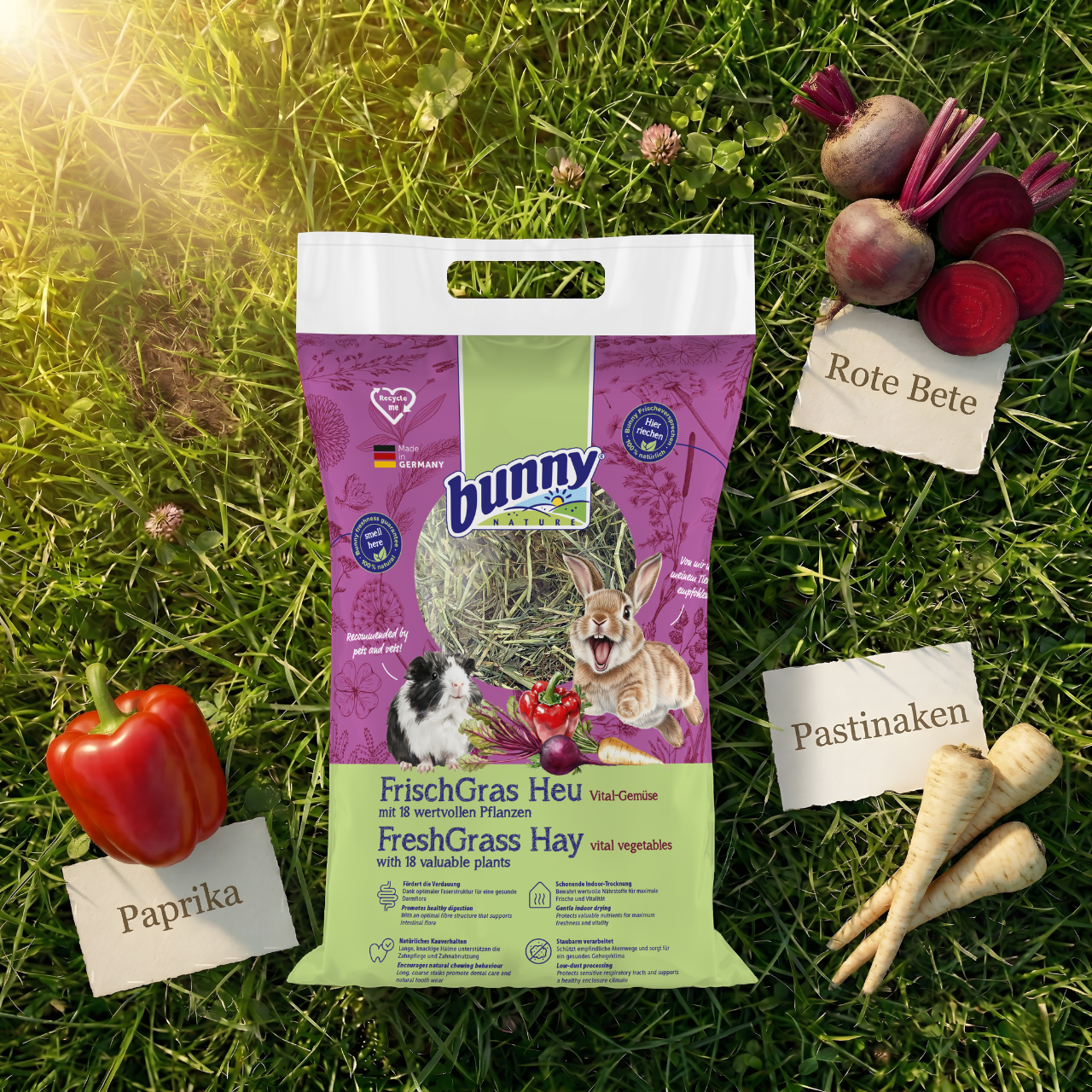 Bunny FrischGras Heu