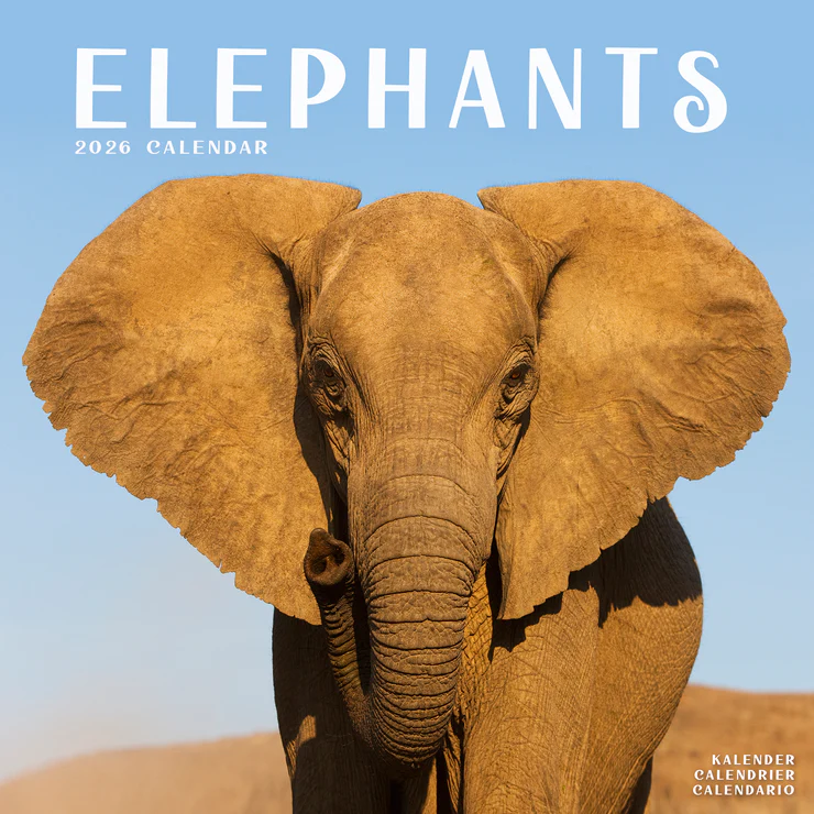 Calendar 2025 Elephants - Elephant
