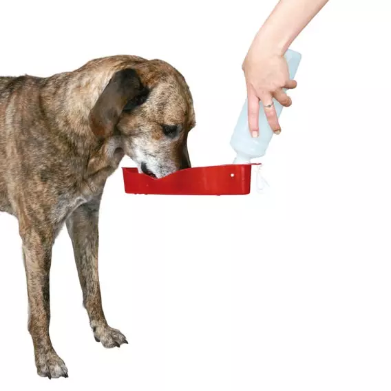 Trinkflasche, Dog on Tour