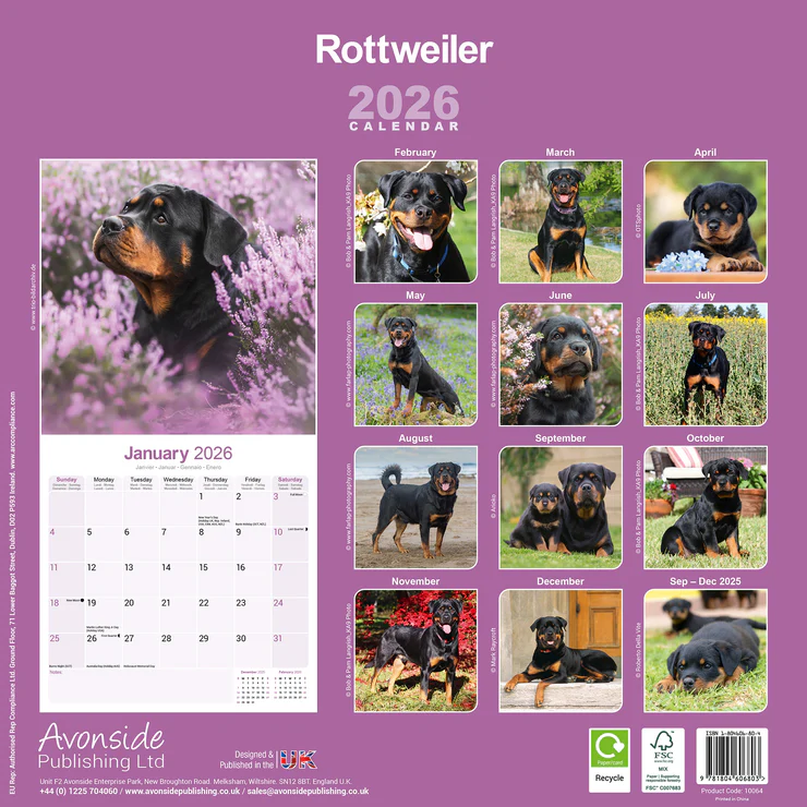 Calendar 2025 Rottweiler