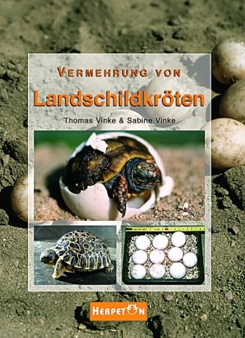 Herpeton, Vermehrung von Landschildkröten
