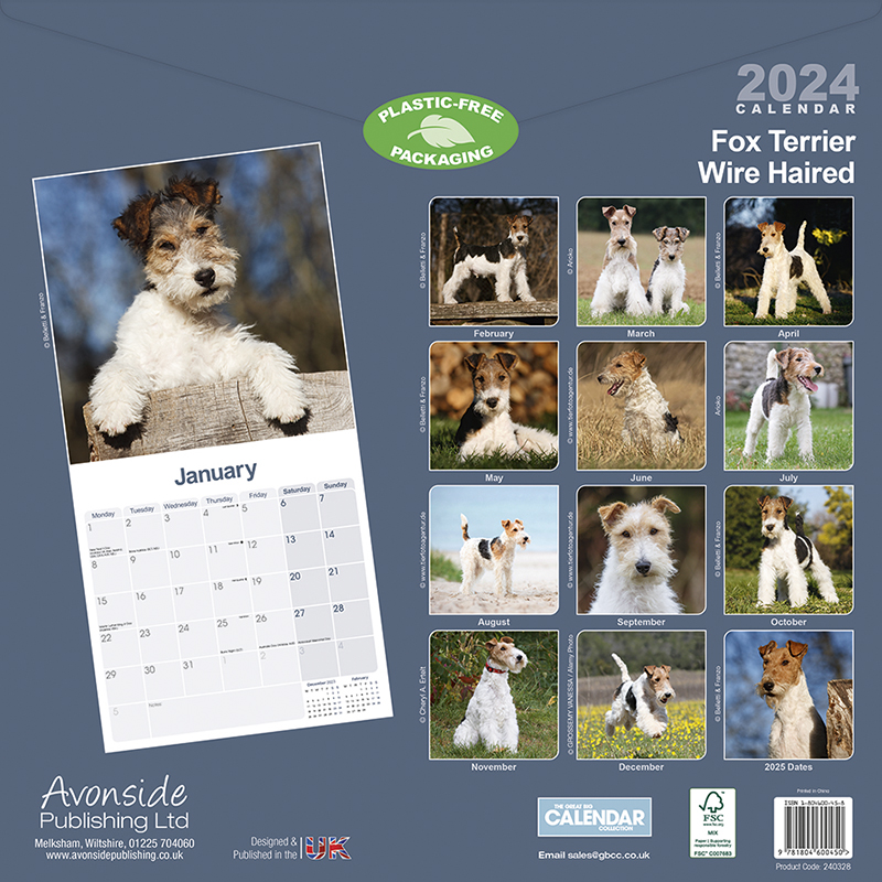 Kalender 2024 Foxterrier Wire