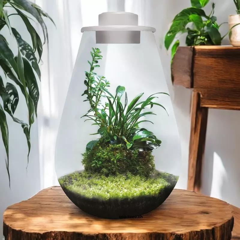 bioart-drop-weiss-glasgarten-1 bioart-drop-weiss-glasgarten-1