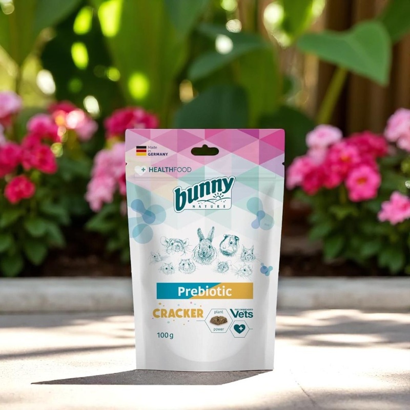 Cracker probiotique Bunny