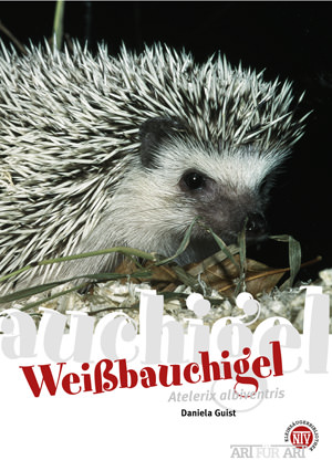NTV, Weissbauchigel